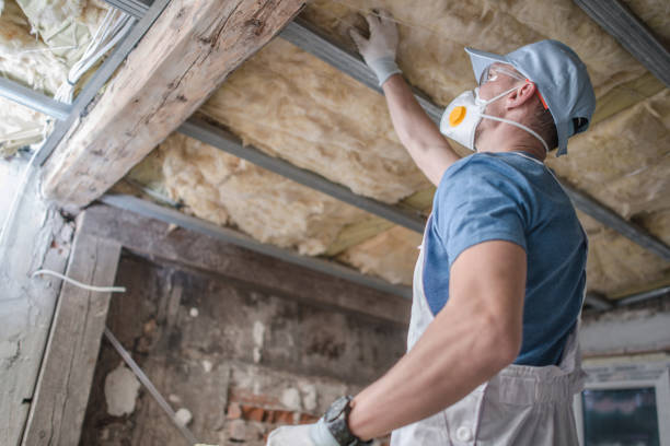Best Home Insulation Services  in Sleepy Hollow, WY