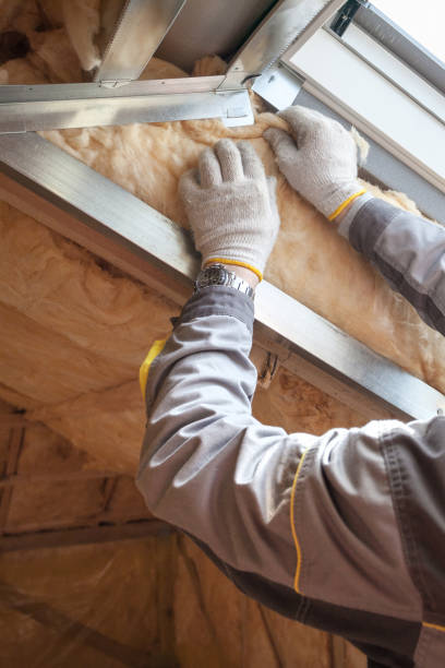 Best Insulation Repair Services  in Sleepy Hollow, WY